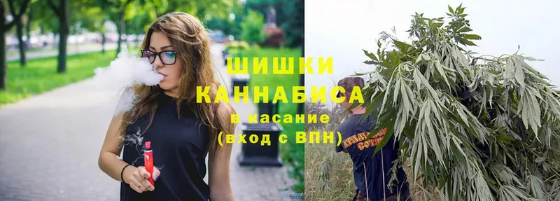 Бошки марихуана Ganja  купить наркотик  Белая Холуница 